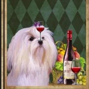 Meet your Posher, Sandi